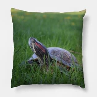 Red Eared Slider Turtle in Grass Pillow