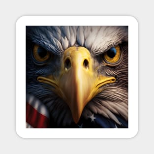 USA, Bald Eagle, America, American Flag, Magnet