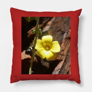 Beautiful Yellow Wildflower Pillow