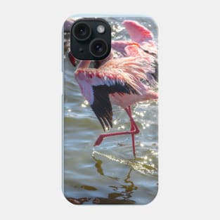 Namibia. Walvis Bay. Flamingos. Phone Case