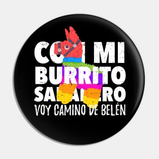 Con mi burrito sabanero voy camino de Belén Pin