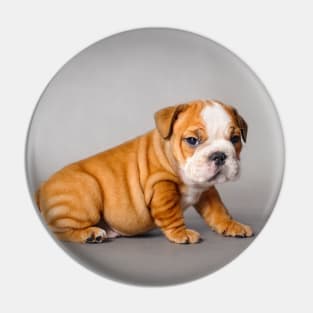 Bulldog puppy Pin