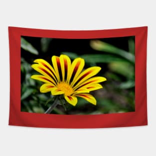 Yellow and Red Flower Tapestry