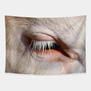 Cow eye / Swiss Artwork Photography Tapestry