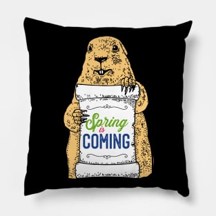 Spring is Coming Funny Groundhog day Gift Pillow