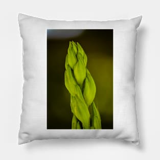 Giant Stalk Pillow