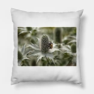 Green Thistle Pillow