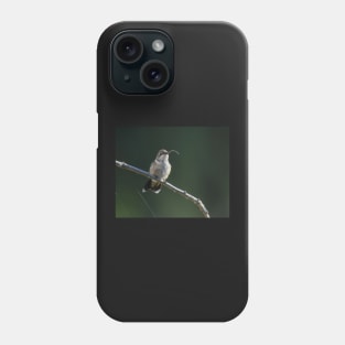 The Tongue Flicker of a Ruby Throated Hummingbird Phone Case