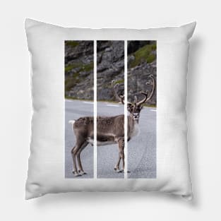 Wonderful landscapes in Norway. Nord-Norge. Beautiful reindeer watching me going to Nordkapp (vertical) Pillow