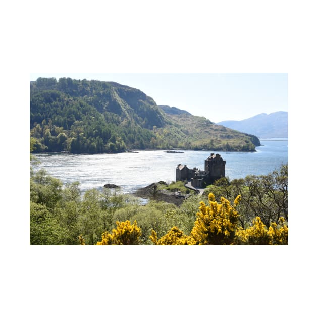 Eilean Donan Castle on a summer afternoon  in the Highlands of Scotland by goldyart