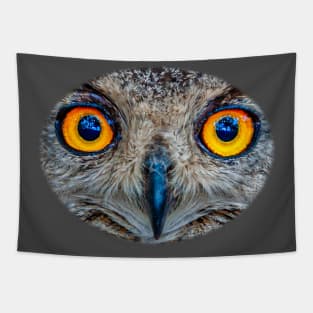 Eyes of an Eagle owl Tapestry