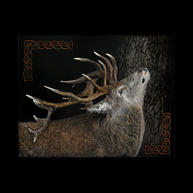 Irish Red Stag scratchboard by havenhill studios