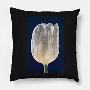 White Tulip with Raindrops and Dark Blue Background Pillow