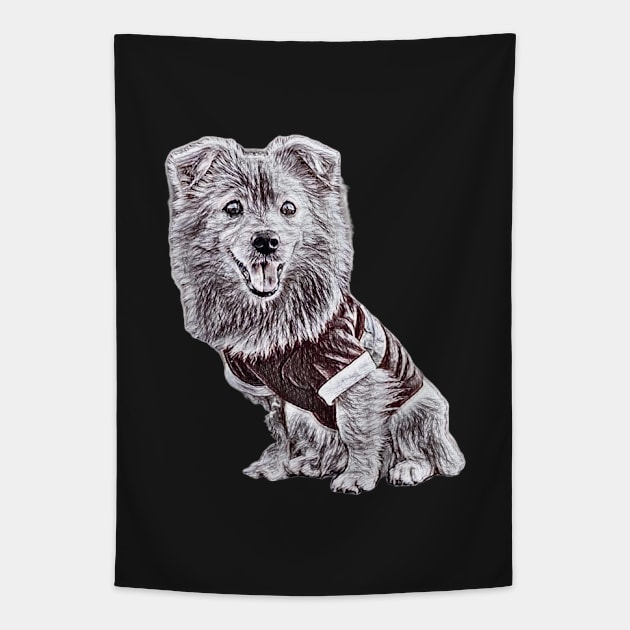 Pomeranian Portrait - Pomeranian Gift Black and White Sketch Tapestry by BubbleMench