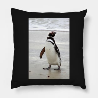 Magellanic Penguin Strolling on the Beach Pillow