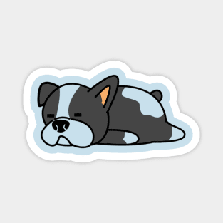 LAZY DOG Magnet