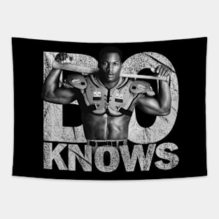 Bo Jackson Knows Tapestry