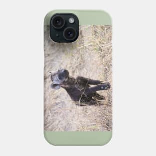 Young hyena cub Phone Case