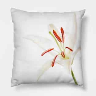 Lily white Pillow