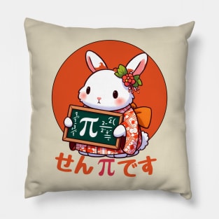 Pi day rabbit Pillow