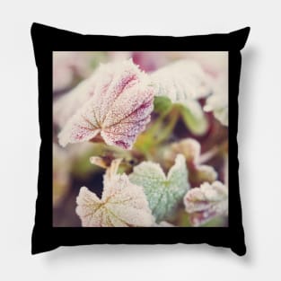 Frosted Begonia Leaves #2 Pillow