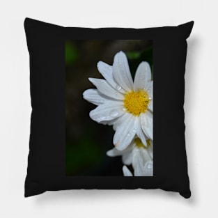 Daisy-Like Pillow