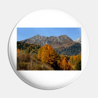 Autumn in Valcamonica Pin