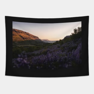 Field of Lupine Flowers During Sunset in Iceland Tapestry