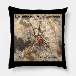 Latrodectus tredecimguttatus -  Mediterranean black widow Pillow