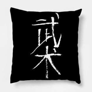 Wushu - martialarts (chinese) Pillow