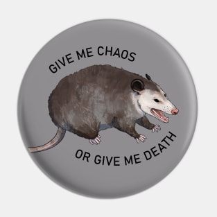 Chaotic Screaming Possum Pin