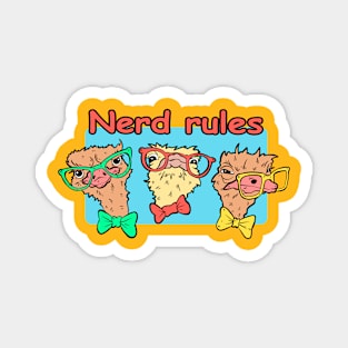 Nerd rules Magnet