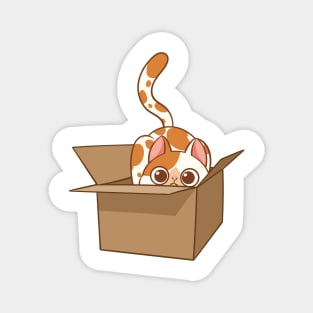 Cat in the box Magnet