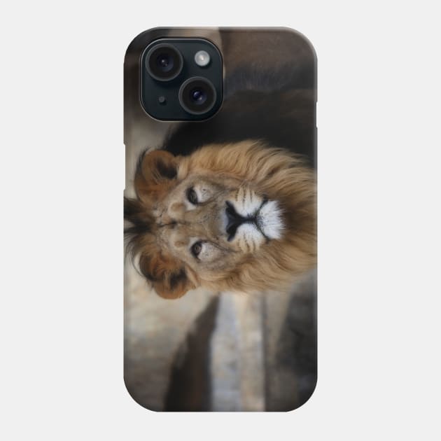 lion - portrait Phone Case by hottehue