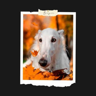 borzoi photo T-Shirt