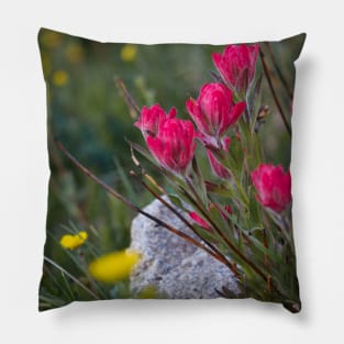 Mountain Wildflower 2 Pillow