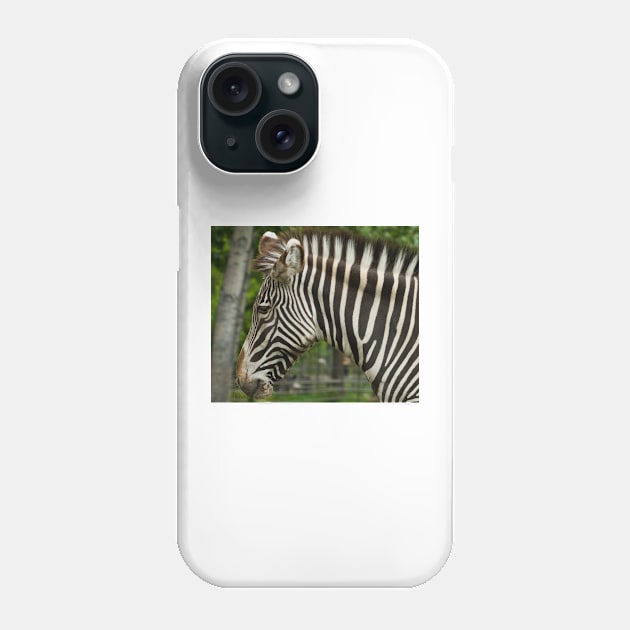 Zebra Head shot Phone Case by StevenElliot