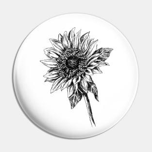 Sunflower Drawing Pin