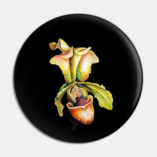 Lady Slipper Orchid Watercolor Paphiopedilum Pin