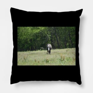 Wild Horse Pillow
