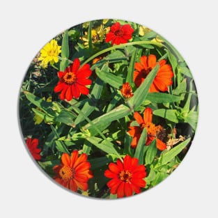 Pretty Red Orange and yellow Flowers with green leaves nature lovers beautiful photography design Pin