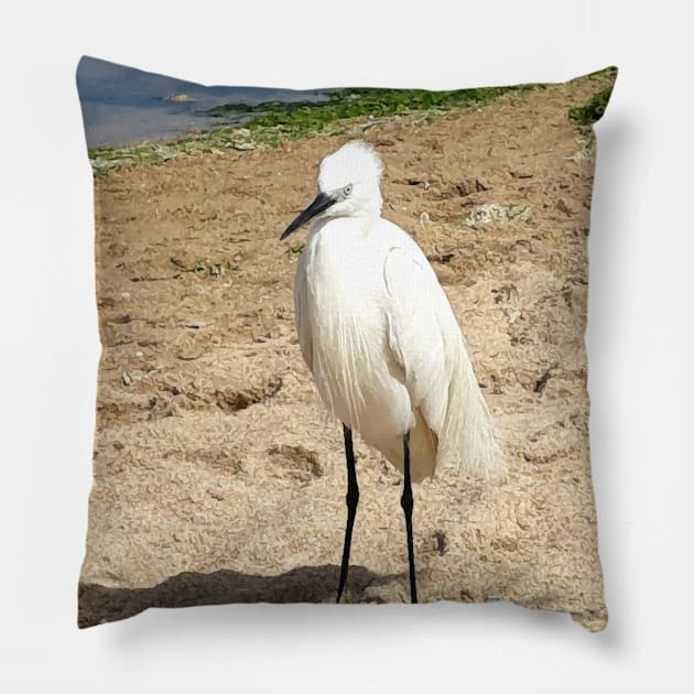 A Heron on the beach 1 Pillow by PrintedDreams