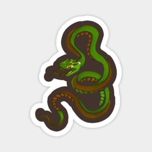 Green and Brown Snake Magnet