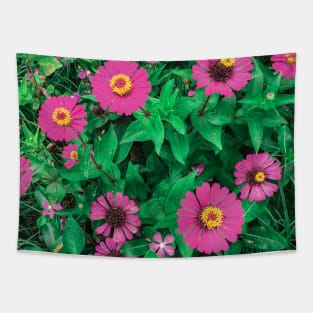 Pink Zinnia flower bush background Tapestry