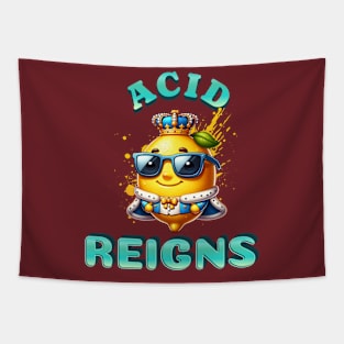 Acid Reigns Tapestry