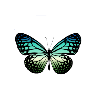 Colorful Butterfly T-Shirt