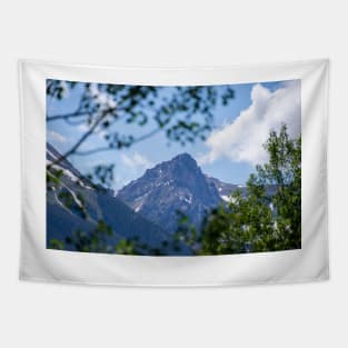 Colorado Mountain 2 Tapestry