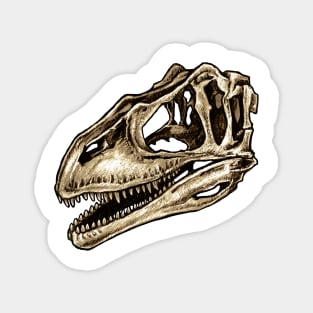 Dinosaur Skull Carcharodontosaurus Sticker Magnet