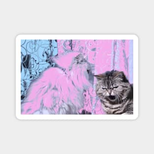 Zwei Katzen / Swiss Artwork Photography Magnet