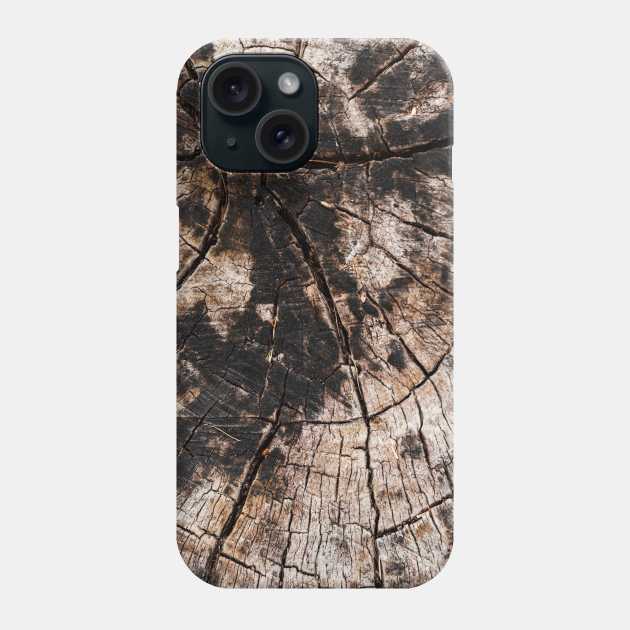 Chopped Tree Trunk Inner Rings Phone Case by textural